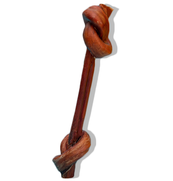 caninos-plus-bullystick-09
