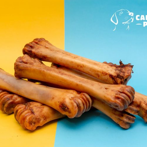 bully stick dog treats chew dog in usa canada caninos plus best natural chew dog