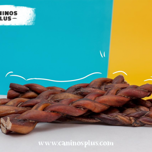 buy bully stick dog treats chew dog in usa canada caninos plus best